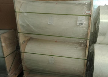 Eco Friendly Translucent Mylar Film , Clear Polyester Film With High Temperature Resistance
