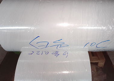 Printed White PET Film Customized Thickness For Advertising Printing