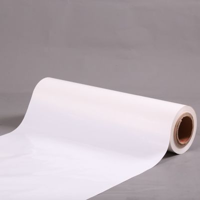 100m Length Multiple Extrusion Translucent Mylar Polyester Film